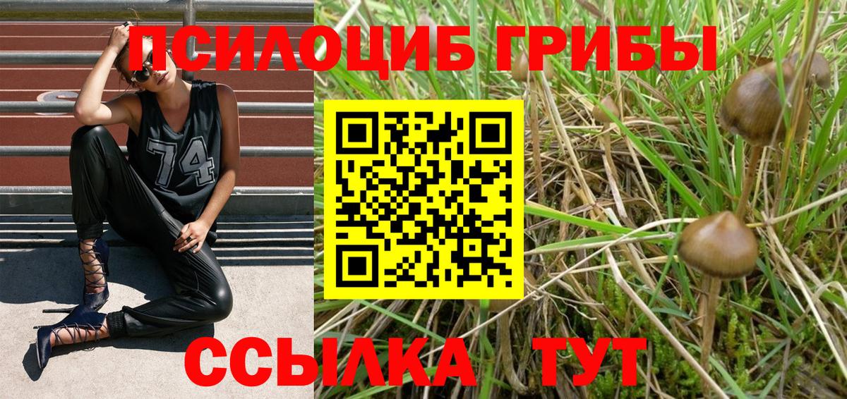 Галлюциногенные грибы Psilocybe  Галлюциногенные грибы GOLDEN TEACHER  Вход с VPN  Арсеньев 