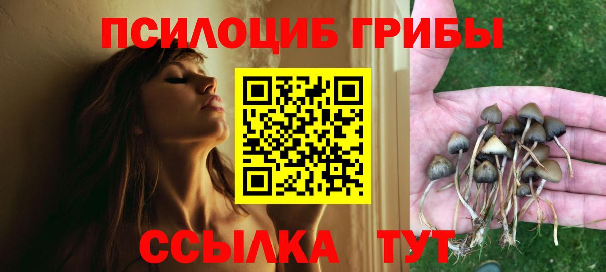 Псилоцибиновые грибы MAGIC MUSHROOMS Арсеньев