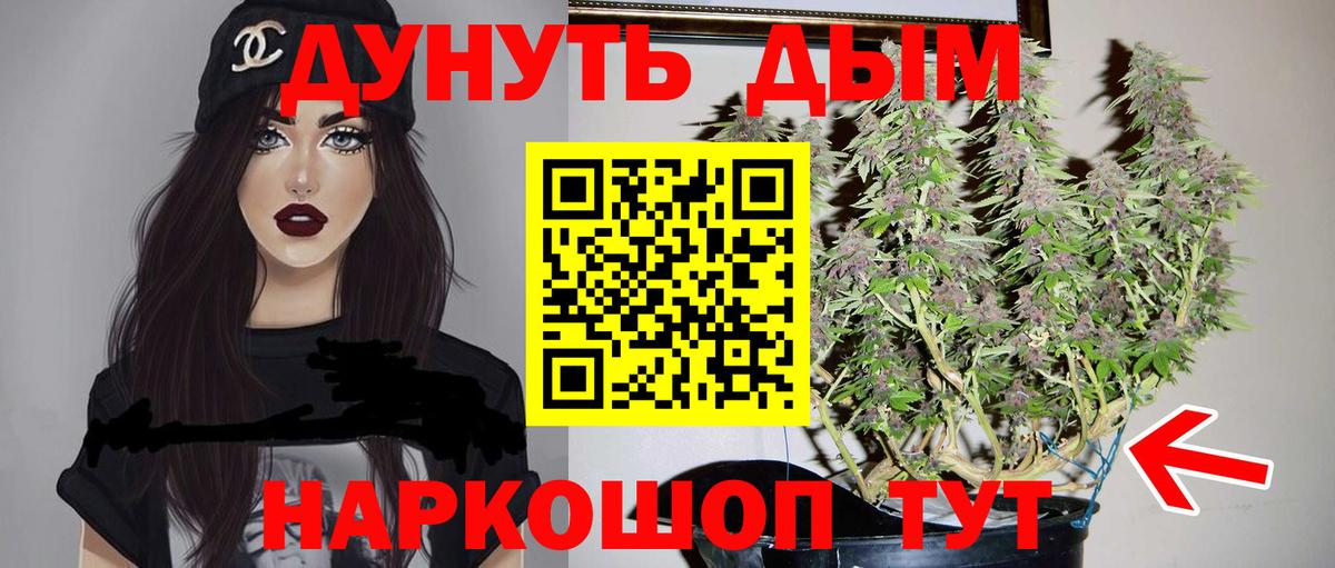 Бошки Шишки план Арсеньев